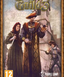 PC The Guild 3