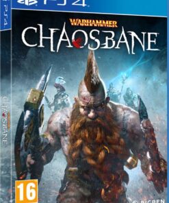 PS4 Warhammer Chaosbane