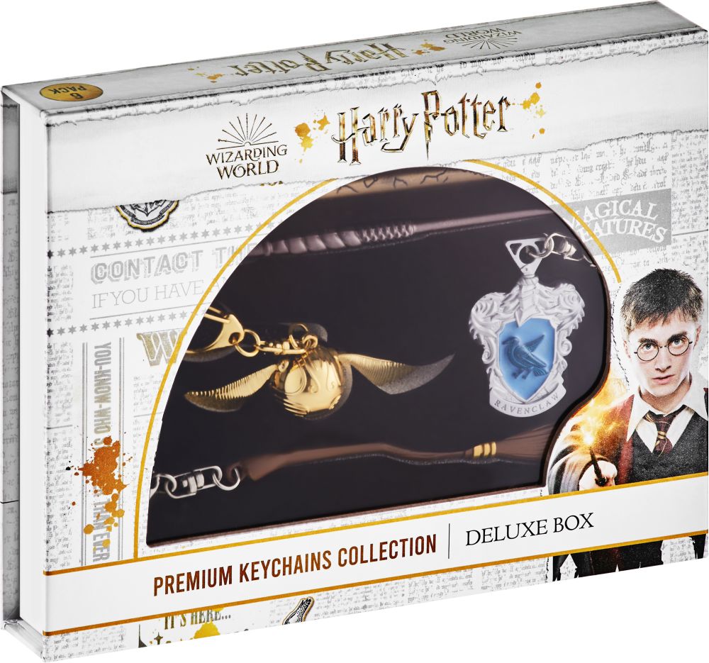 P.M.I. Harry Potter Metal Premium Keychains Collection - 6 Pack Deluxe Box (Random) (HP8550)