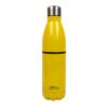 Fizz Minions Water Bottle (500ml) (310006)