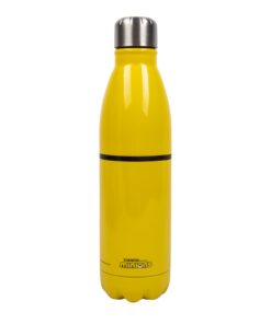Fizz Minions Water Bottle (500ml) (310006)