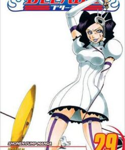 Viz Bleach Vol. 29 Paperback Manga