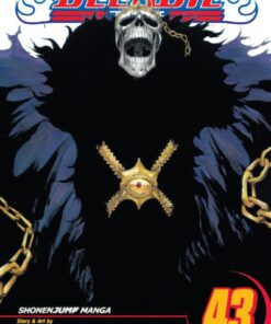 Viz Bleach Vol. 43 Paperback Manga