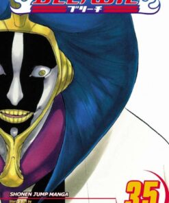 Viz Bleach Vol. 35 Paperback Manga