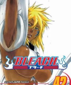 Viz Bleach Vol. 42 Paperback Manga