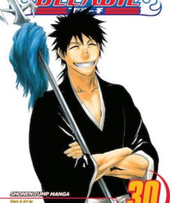 Viz Bleach Vol. 30 Paperback Manga