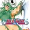 Viz Bleach Vol. 34 Paperback Manga