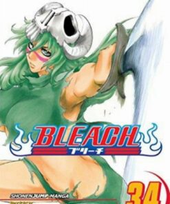 Viz Bleach Vol. 34 Paperback Manga
