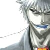 Viz Bleach Vol. 25 Paperback Manga
