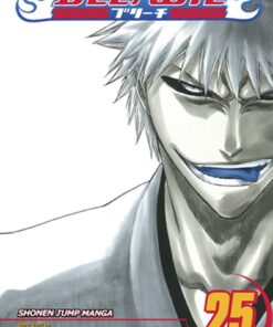 Viz Bleach Vol. 25 Paperback Manga