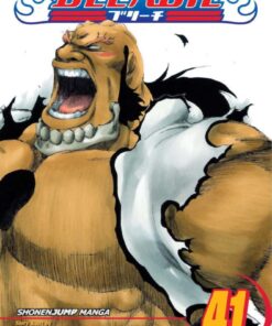 Viz Bleach Vol. 41 Paperback Manga