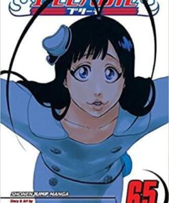 Viz Bleach Vol. 65 Paperback Manga