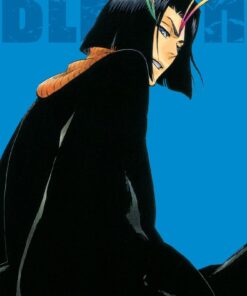 Viz Bleach (3 in 1 Edition) Vol. 13 Trade Paperback Manga