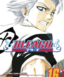 Viz Bleach Vol. 16 Paperback Manga