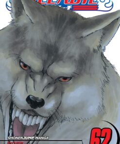 Viz Bleach Vol. 62 Paperback Manga