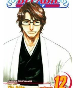 Viz Bleach Vol. 12 Paperback Manga
