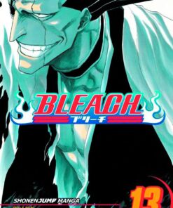 Viz Bleach Vol. 13 Paperback Manga
