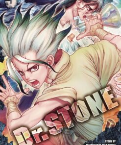 Viz Dr. Stone GN Vol. 09 Paperback Manga