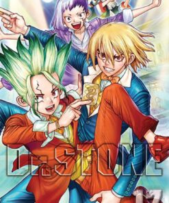 Viz Dr. Stone GN Vol. 17 Paperback Manga