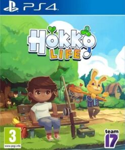 PS4 Hokko Life