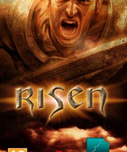 NSW Risen