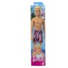 Mattel Ken Beach Doll (HPV23)