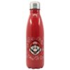 Stor Super Mario Metal Bottle (780ml)